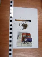 Obława narkotykowa pod Protectorem